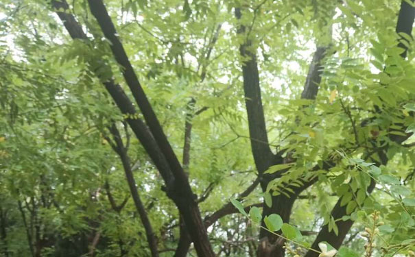 张家口人力资源管理师培训报名
