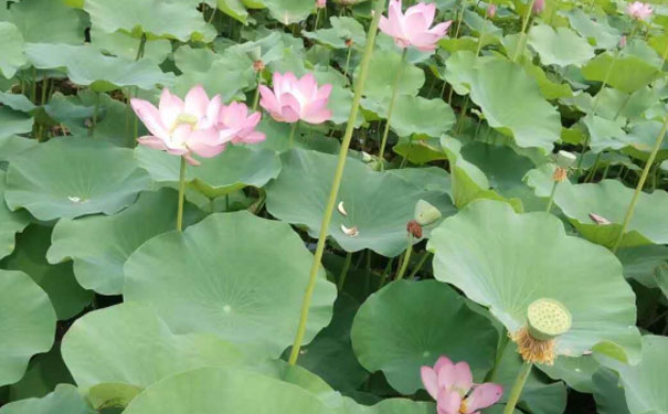 ����������Դ����ʦ��ѵ�����ļҺ�_���ö���Ǯ