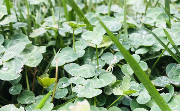 ɽ��������Դ����ʦ��ѵ�����ļҺ�_���ö���Ǯ