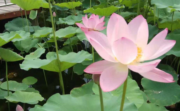 ������˹������Դ����ʦ��ѵ�����ļҺ�_���ö���Ǯ