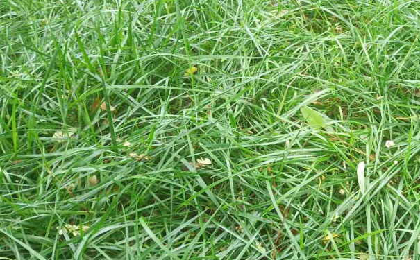 ���������Դ����ʦ��ѵ������������