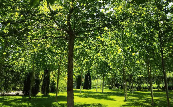 ɽ��������Դ����ʦ��������