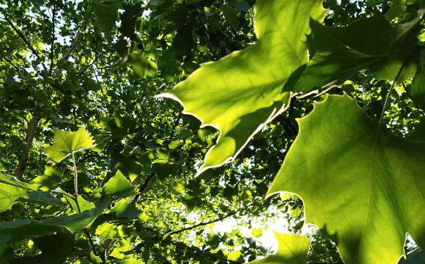 ̫ԭ������Դ����ʦ��ѵѧУ�ļҺ�