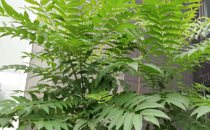 �ٷ�������Դ����ʦ��ѵ�����ļҺ�_���ö���Ǯ