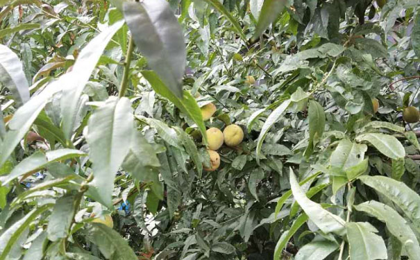 辽宁人力资源管理师培训班哪个好