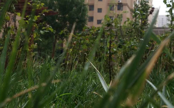 吉林人力资源管理师培训哪里好