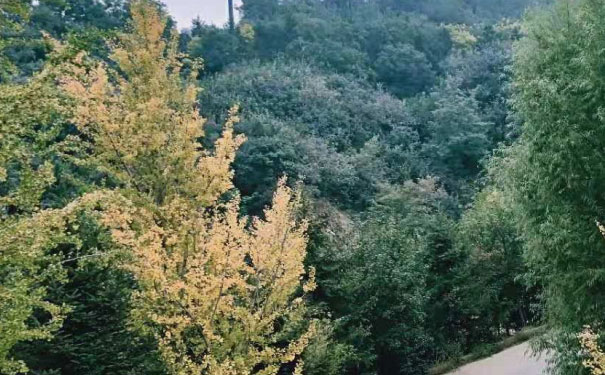 烟台人力资源管理师培训班哪个好