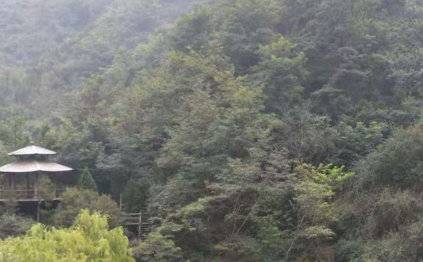 淄博人力资源管理师培训哪家好