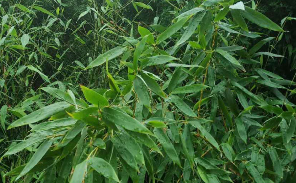 莱芜人力资源管理师培训班