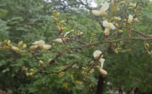 常州人力资源管理师培训班哪家好