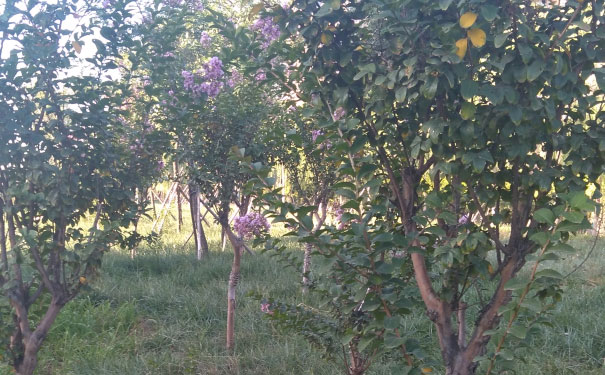 合肥人力资源管理师培训机构哪家好_费用多少钱