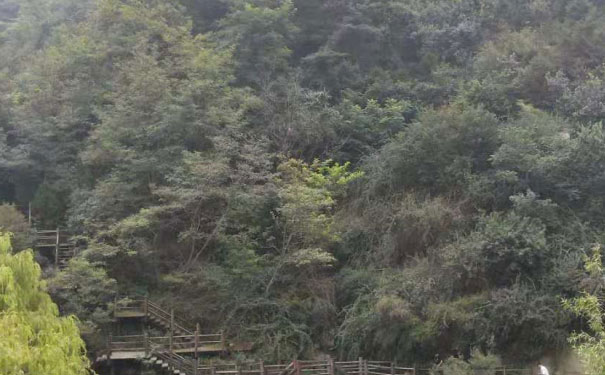 厦门人力资源管理师培训机构哪个好