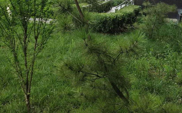 湖南人力资源管理师培训学校