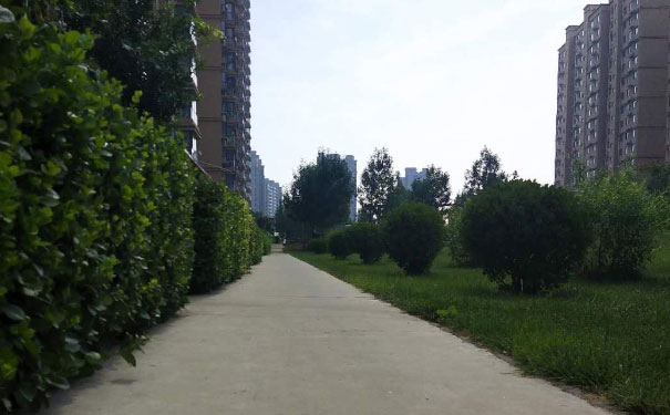 南充人力资源管理师培训班