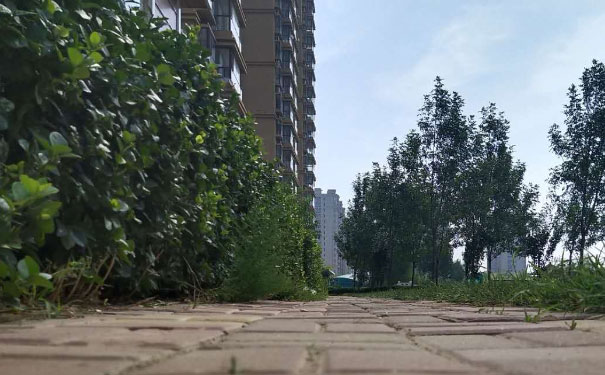 德阳人力资源管理师培训机构哪家好_费用多少钱 德阳人力资源管理师培训机构哪家好_费用多少钱