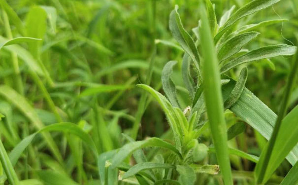 遵义人力资源管理师培训机构哪家好_费用多少钱