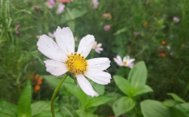昆明人力资源管理师培训班