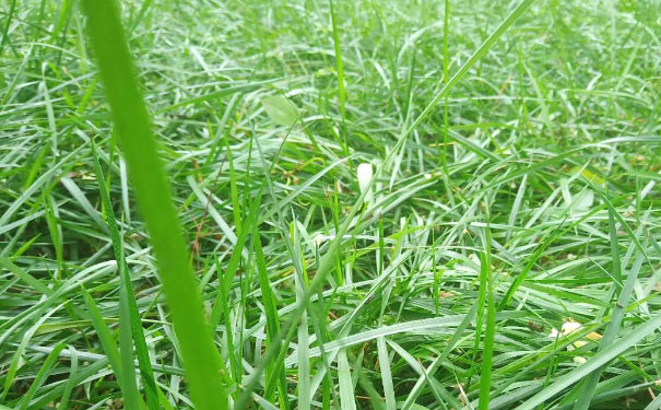 西安人力资源管理师培训机构哪家好