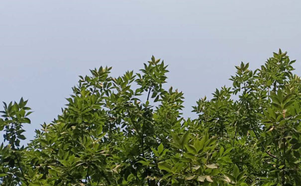 庆阳人力资源管理师培训机构哪家好_费用多少钱