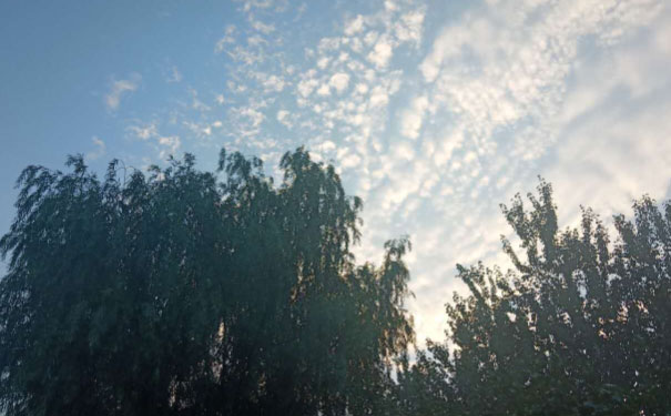 张掖人力资源管理师培训机构哪家好_费用多少钱