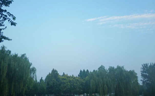 甘肃人力资源管理师报考条件