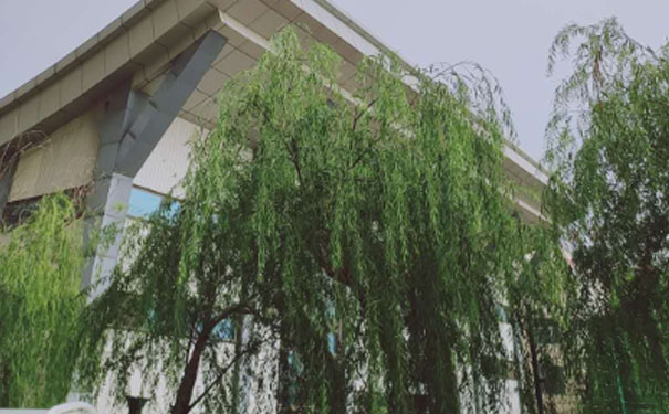 佛山英语口语培训哪家好_收费价格 佛山英语口语培训哪家好_收费价格