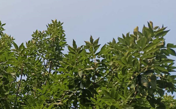 江门英语口语培训哪家好_收费价格