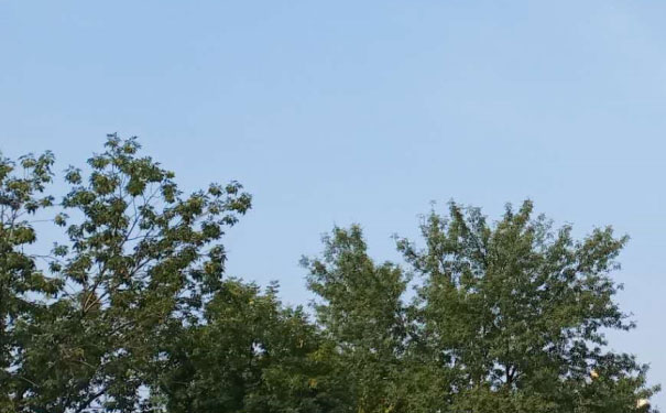 江门蓬江区英语口语培训哪家好_收费价格