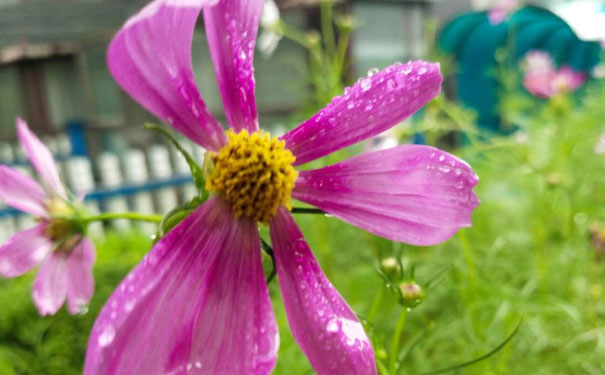 常州英语口语培训哪家好_收费价格