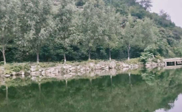 沈阳和平区英语口语培训哪家好_收费价格