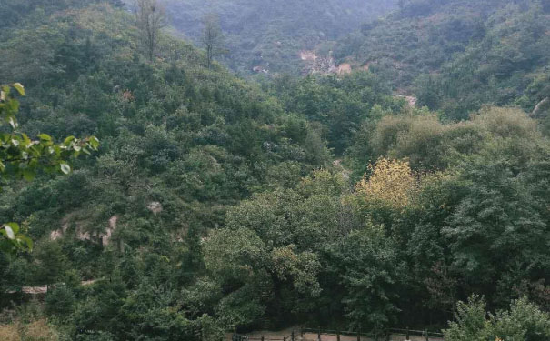 绍兴英语口语培训哪家好_收费价格