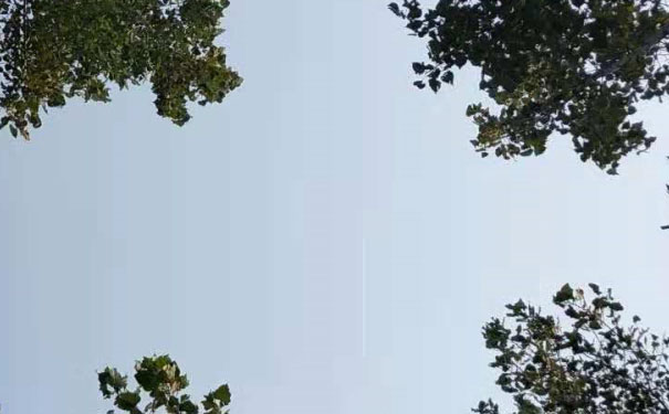 合肥政务区英语口语培训哪家好_收费价格