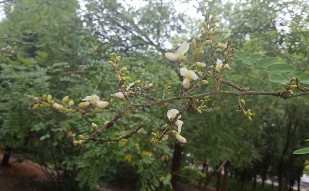南通英语口语培训哪家好_收费价格