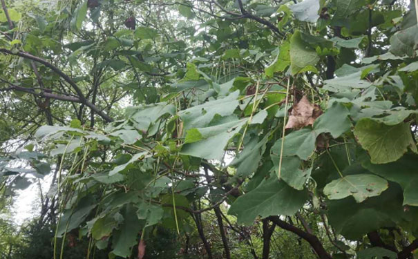 哈尔滨道里区英语口语培训哪家好_收费价格