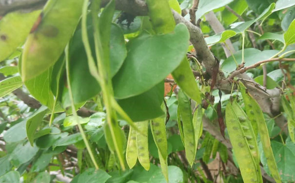 杭州英语口语培训哪家好_收费价格