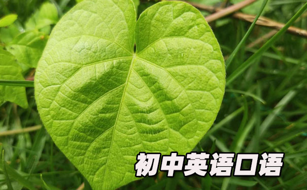 初中英语口语文章,含初一、初二、初三- 美联英语
