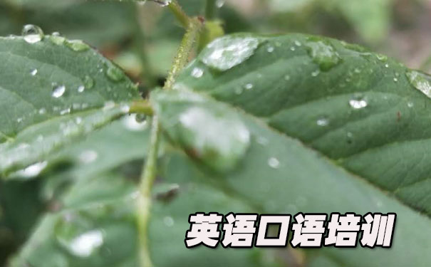 �ٶ�Ӣ�����̲ġ���Ƶ��ͼƬ- ����Ӣ��