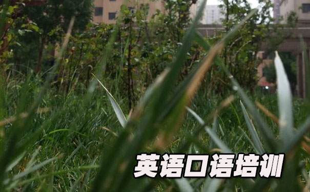 提高提升英语口语的英语文章- 美联英语