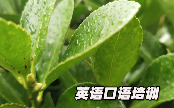 ��óӢ�����- ����Ӣ��