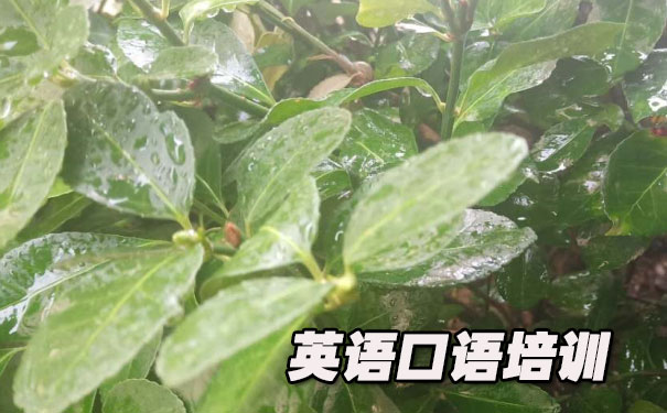 ���Ӣ�������ѵ- ����Ӣ��