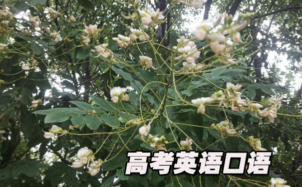 高考英语口语考试短文文章- 美联英语