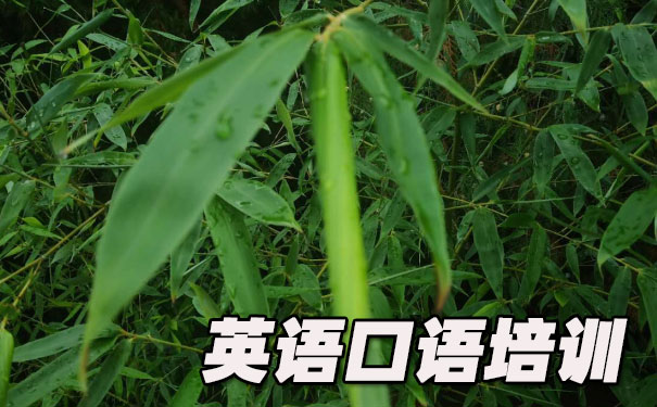 酒店英语口语- 美联英语