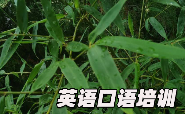 看图说英语口语图片- 美联英语