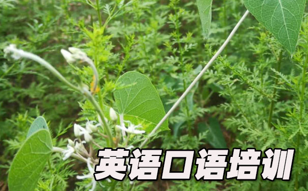 ��Ӣ����������������- ����Ӣ��