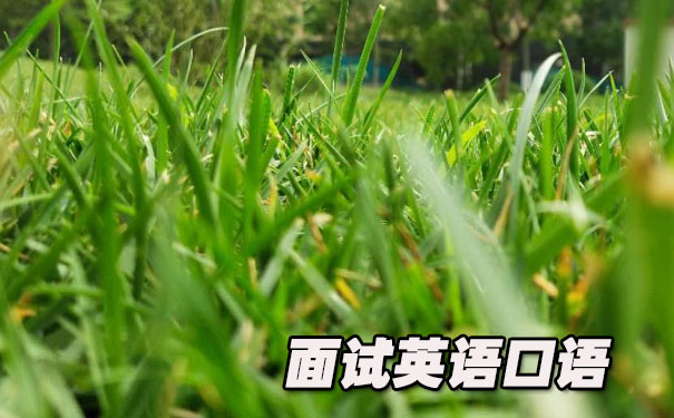 面试英语口语- 美联英语