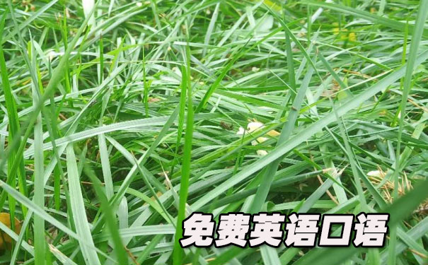 ���Ӣ�����ѧϰ��ѵ- ����Ӣ��