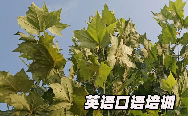  Ӣ����ﱨ��- ����Ӣ��