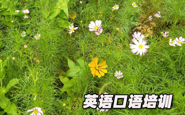 Ӣ���������- ����Ӣ��