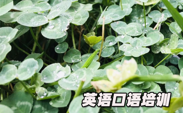 Ӣ����ﱳ�ж���- ����Ӣ��     