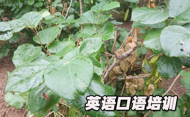 Ӣ��������150��- ����Ӣ��